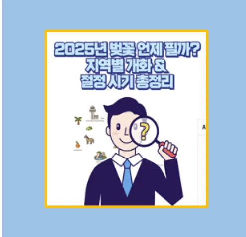 2025년 개화 절정 시기 총정리