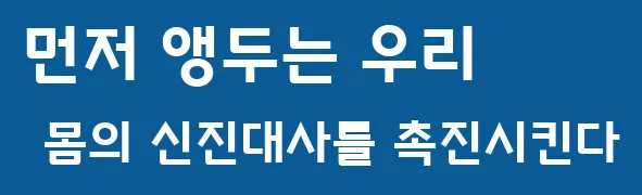 먼저 앵두는 우리 몸의 신진대사를 촉진시킨다