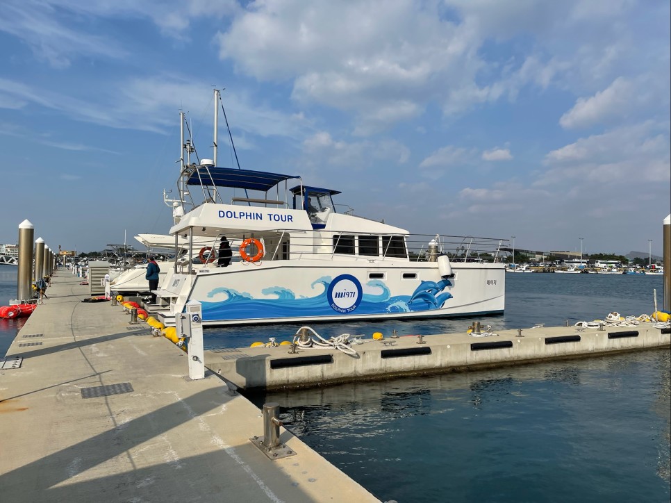 겨울 여행지 겨울 국내 여행지 :제주도 19