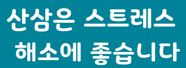 산삼은 스트레스 해소에 좋습니다