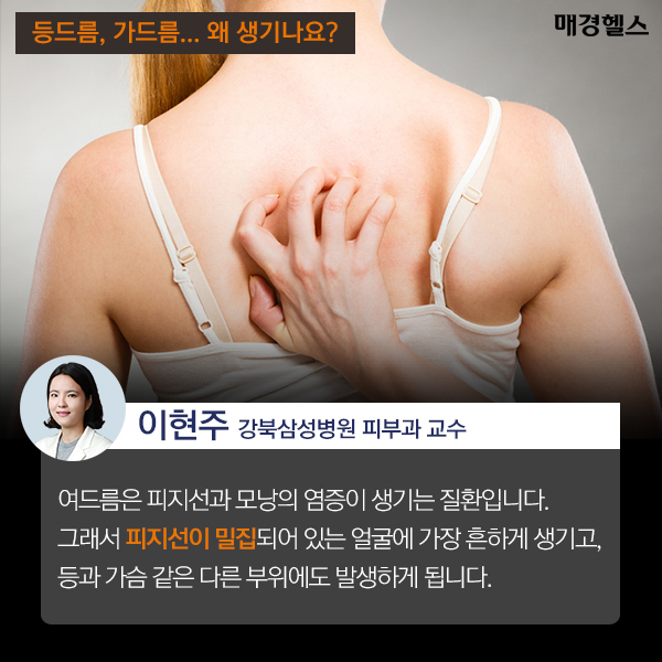 등드름 가드름