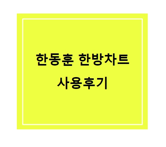  한동훈 한방차트 사용 후기 