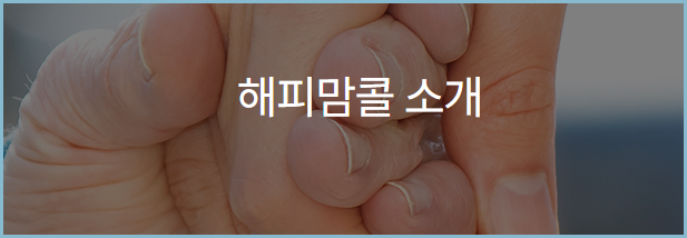 대구시설공단-해피맘콜