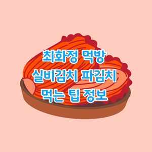 최화정-먹방-실비김치-파김치-먹는-팁-정보