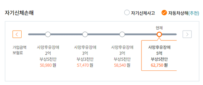  초보자를 위한 자동차보험 꿀팁