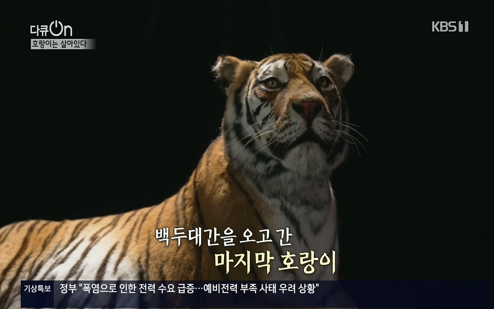 다큐 On.E150.220729p.H264-F1RST.mp4_20220730_164042.696.jpg