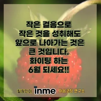 6월 인사말 모음 상황별 이미지 일러스트_24