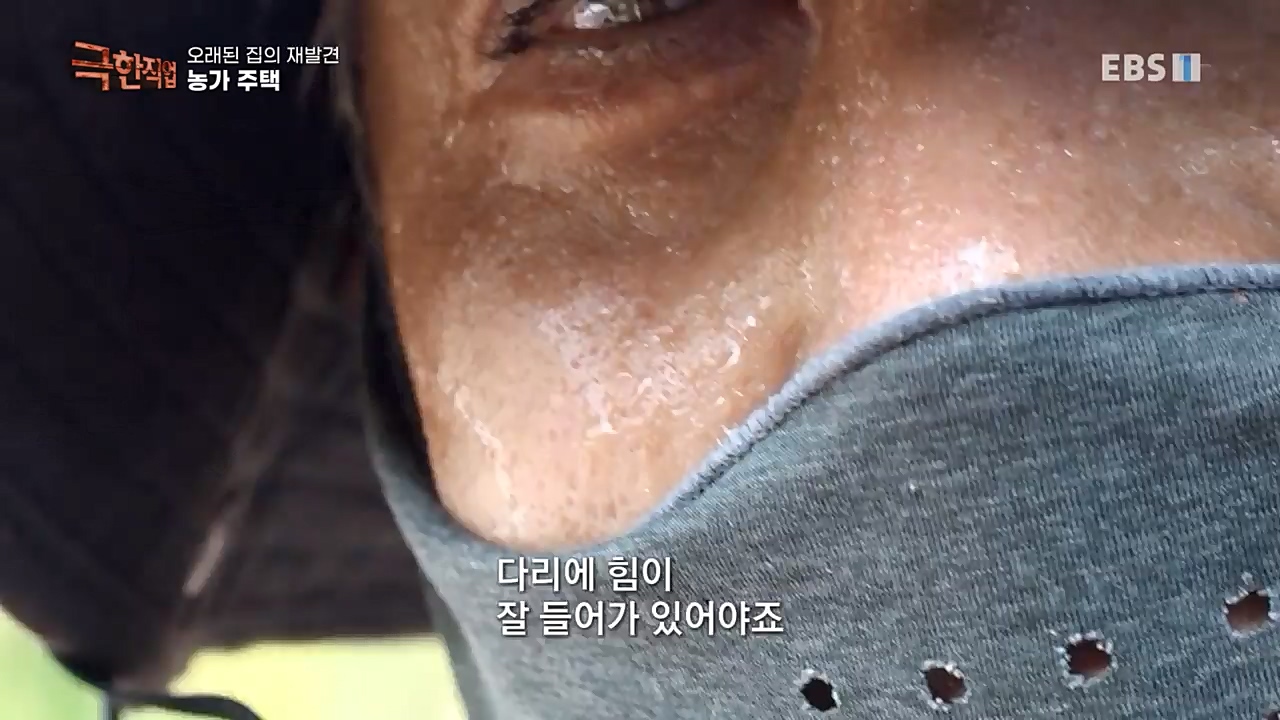 TV - 교육의 중심 EBS오래된 집의 재발견 농가와 도심 주택.mp4_20221120_151956.225.jpg