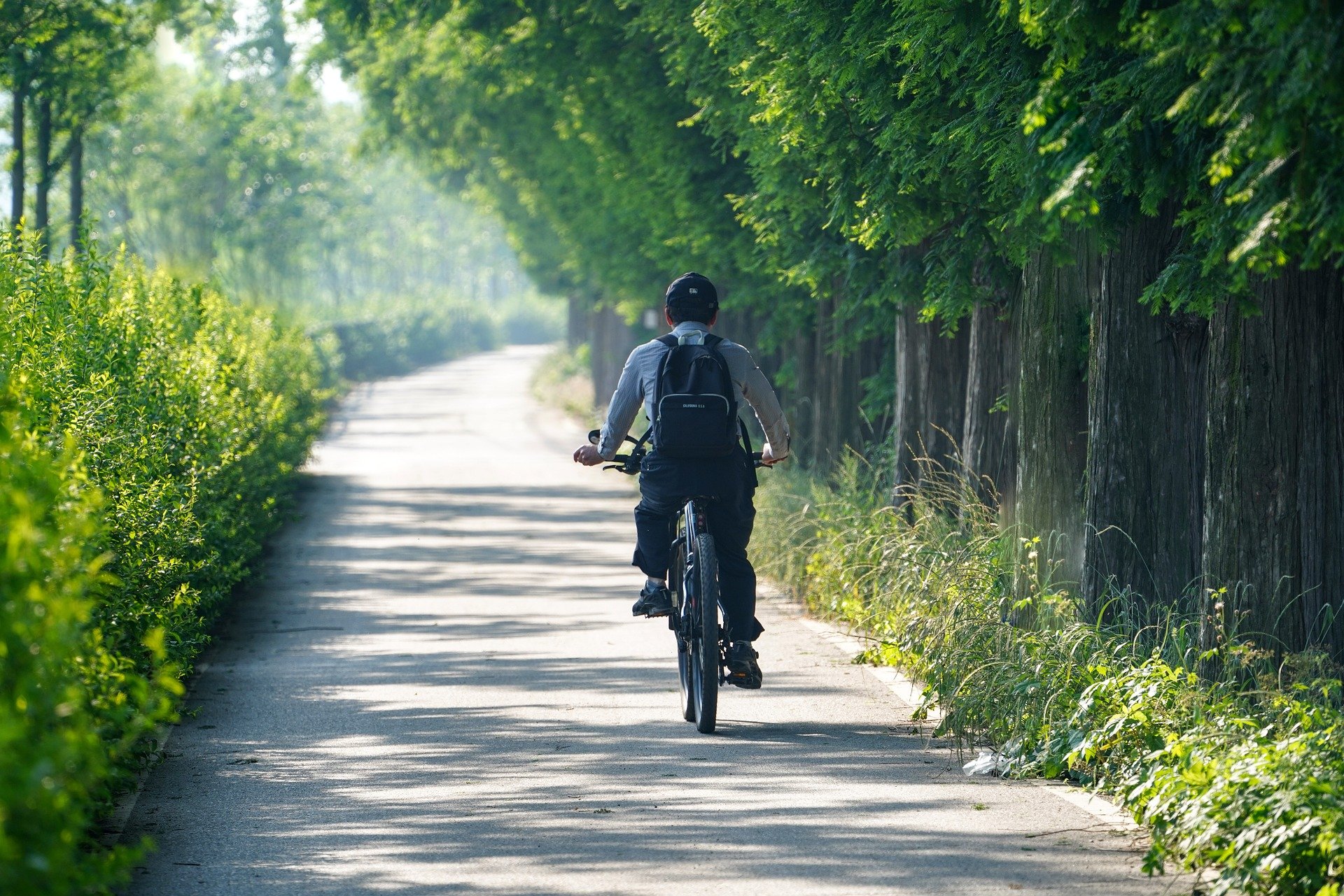 양쪽으로 나무와 숲이 우거진 한적한 길에서 모자와 가방을 맨 남성이 혼자 자전거를 타고 가고 있는 모습을 찍은 사진