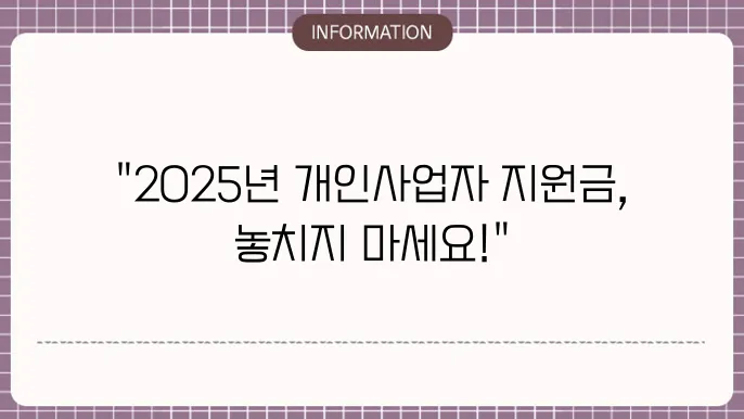 개인사업자 정보지원금: 2025년 기준 혜택 정리
