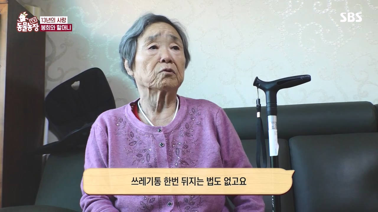 TV 동물농장.E1145.231113p-NEXT.mp4_20231112_173444.743.jpg