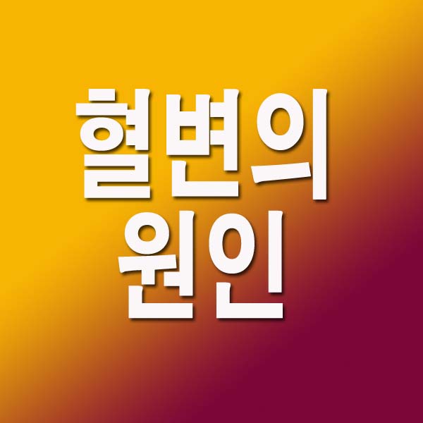  혈변의 원인 9가지