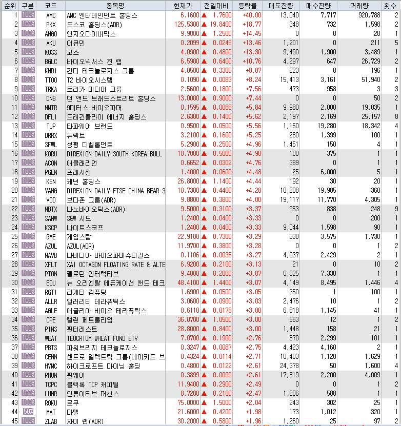  7월21일 미국주식 상승률 상위 종목 TOP 300