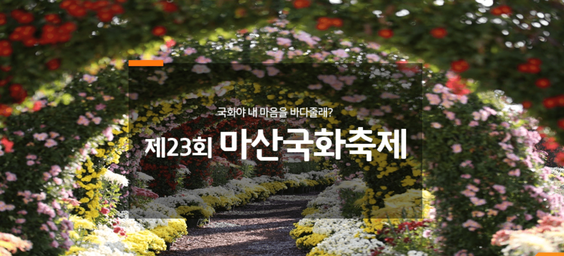 마산 국화축제 일정