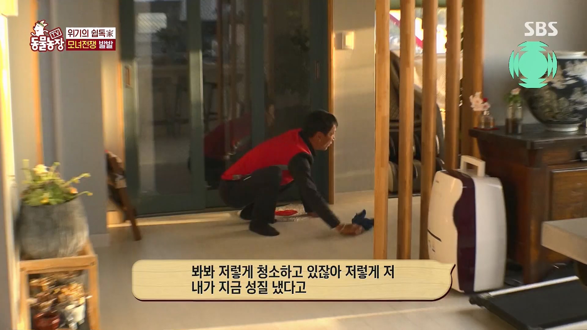 TV 동물농장.E1120.230514p.H264-F1RST.mp4_20230515_203527.150.jpg