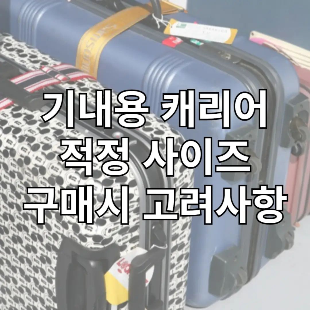 기내용 캐리어 적정 사이즈