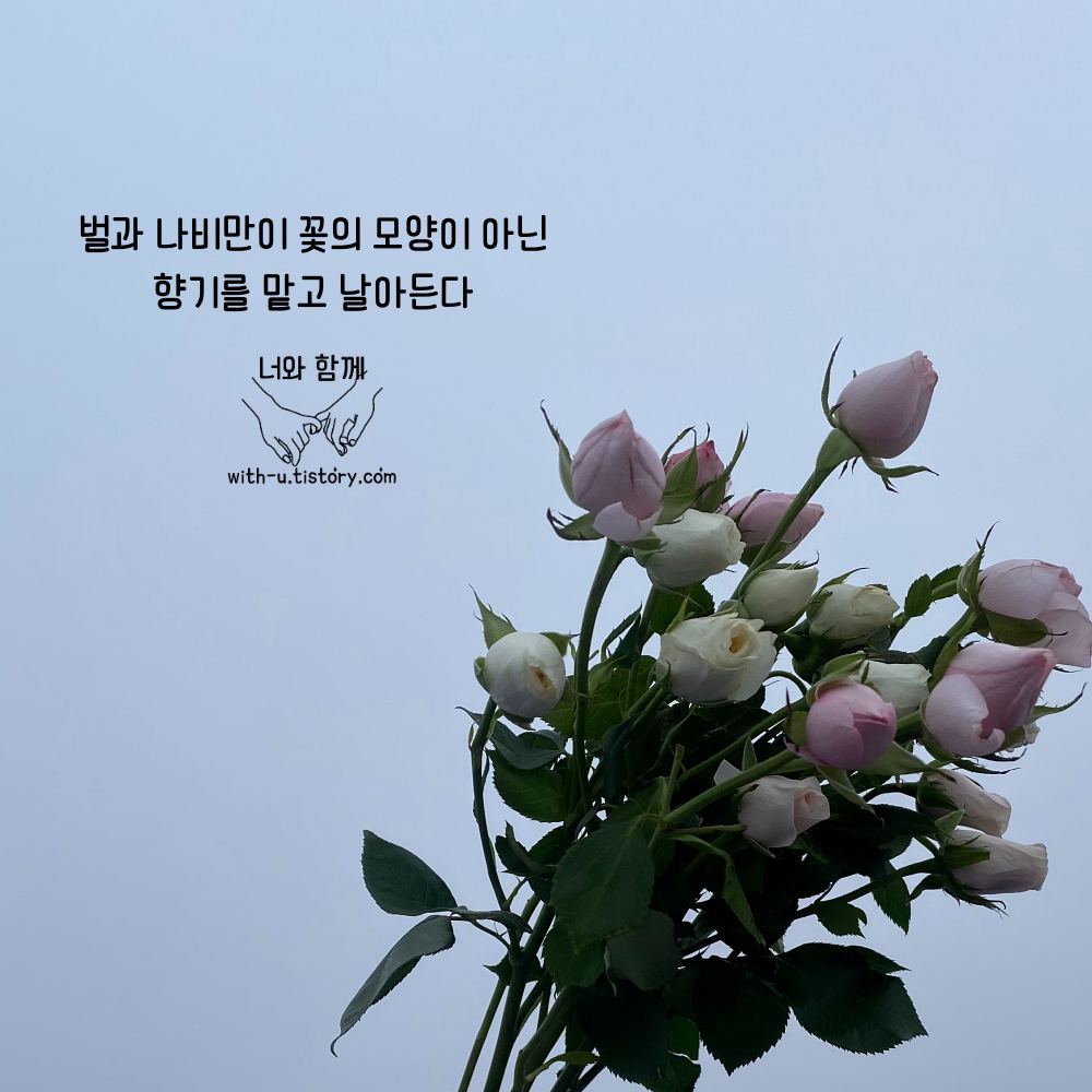  편견 명언 : 짧고 좋은 글귀 : 짧은 명언