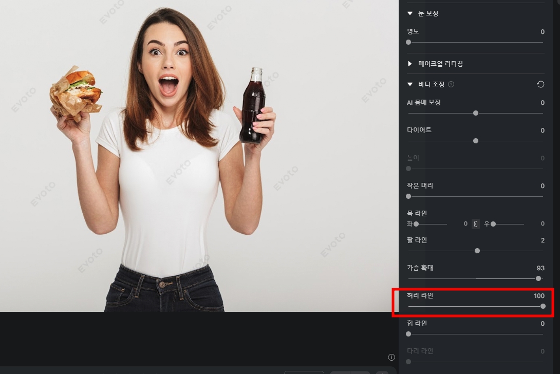 AI 사진편집 프로그램 Evoto AI(이보토)
