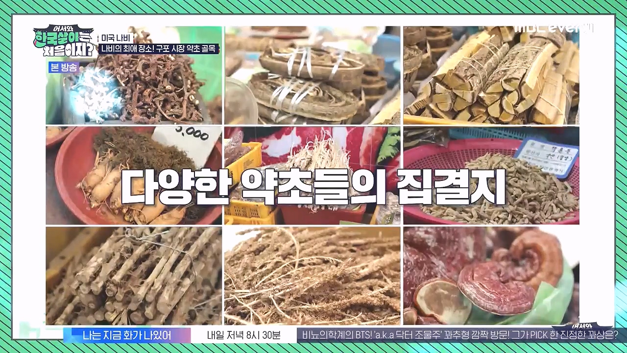 어서와 한국살이는 처음이지.E16.230905p-NEXT.mp4_20230906_201318.196.jpg