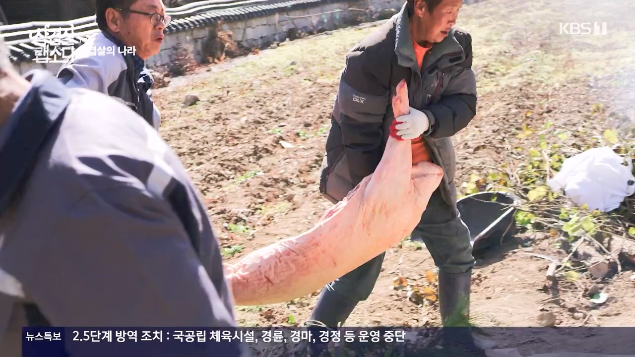 삼겹살 랩소디.E01.201221p-NEXT.mp4_20240221_201659.832.jpg