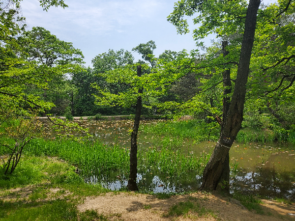 김포장릉-산책로