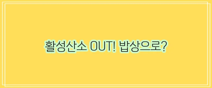 글루타치온 함유음식 TOP 10