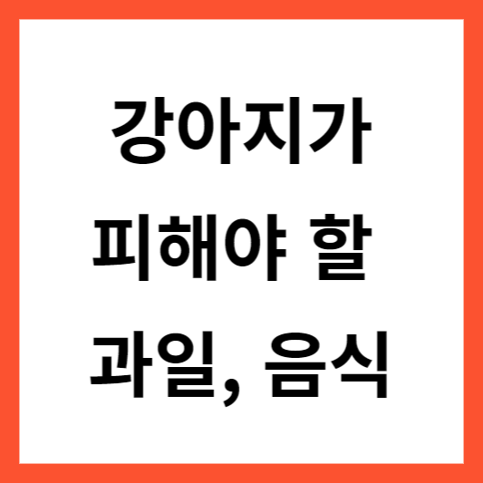 꼭 알아둬야 할 강아지가 먹으면 안되는 과일 음식