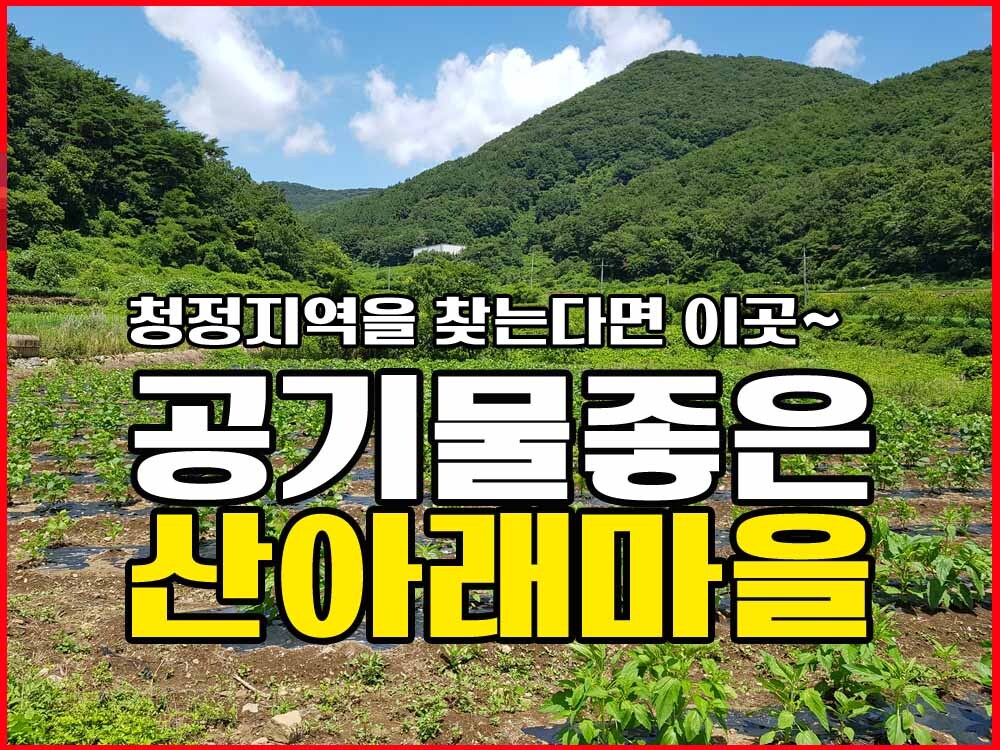  경남고성부동산 공기 좋고 물 맑은 청정지역을 찾는다면 이곳입니다.