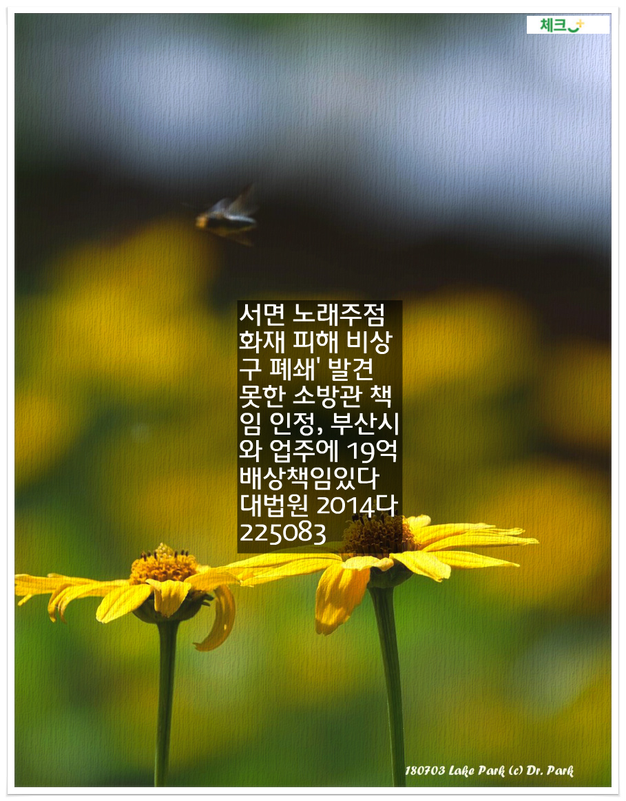 서면 노래주점 화재 피해 비상구 폐쇄' 발견 못한 소방관 책임 인정, 부산시와 업주에 19억 배상책임있다