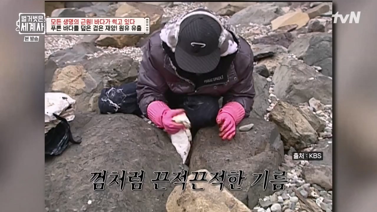 벌거벗은 세계사.E90.230315p-NEXT.mp4_20230419_212602.454.jpg