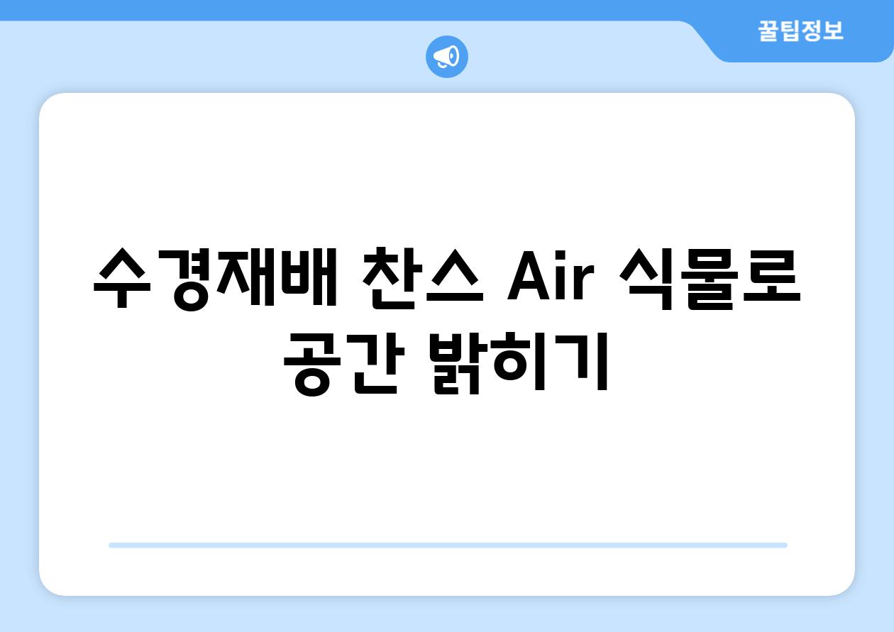 수경재배 찬스| Air 식물로 공간 밝히기