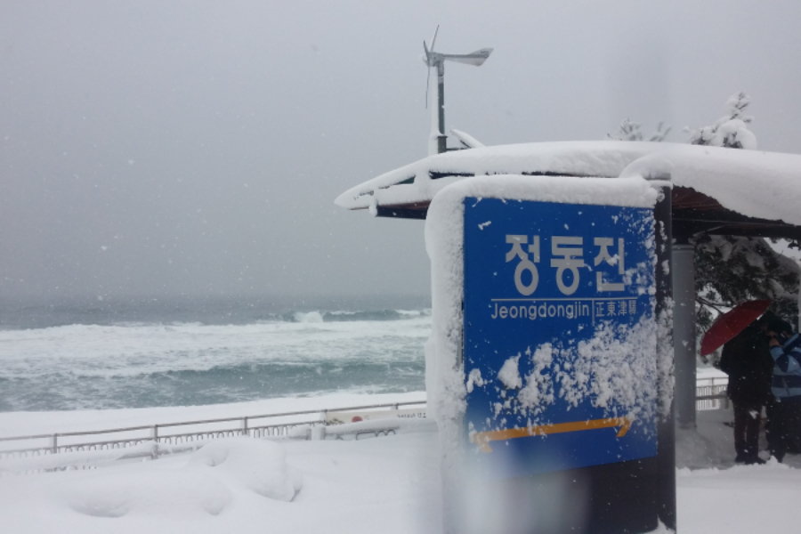 정동진 해돋이 기차여행 : 해돋이 축제 정보