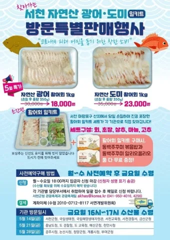 서천 광어 도미 축제에서 제철 맛 체험 완벽 여행 가이드_10