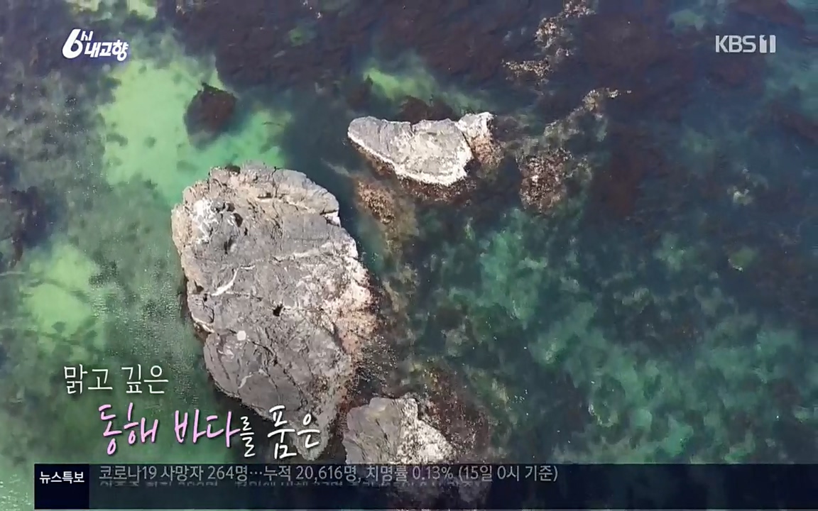 6시 내고향.E7512.220416p.H264-F1RST.mp4_20220502_191853.647.jpg