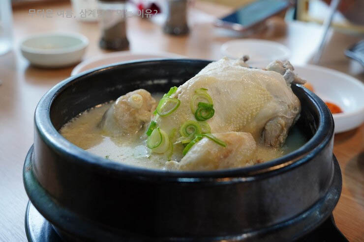 삼계탕은 단백질이 풍부해 체력 보충에 탁월해요.
