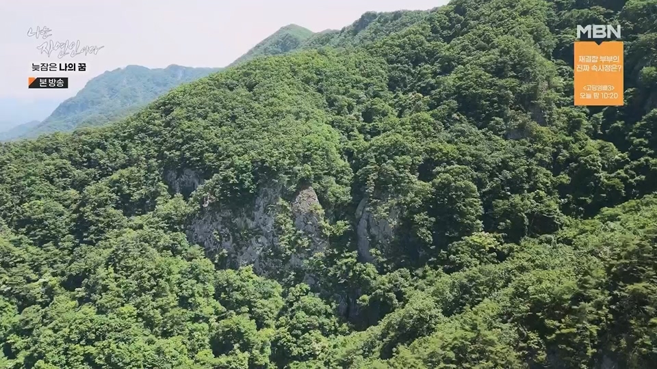 나는 자연인이다.E561.230705p.H264-F1RST.mp4_20230706_213040.528.jpg