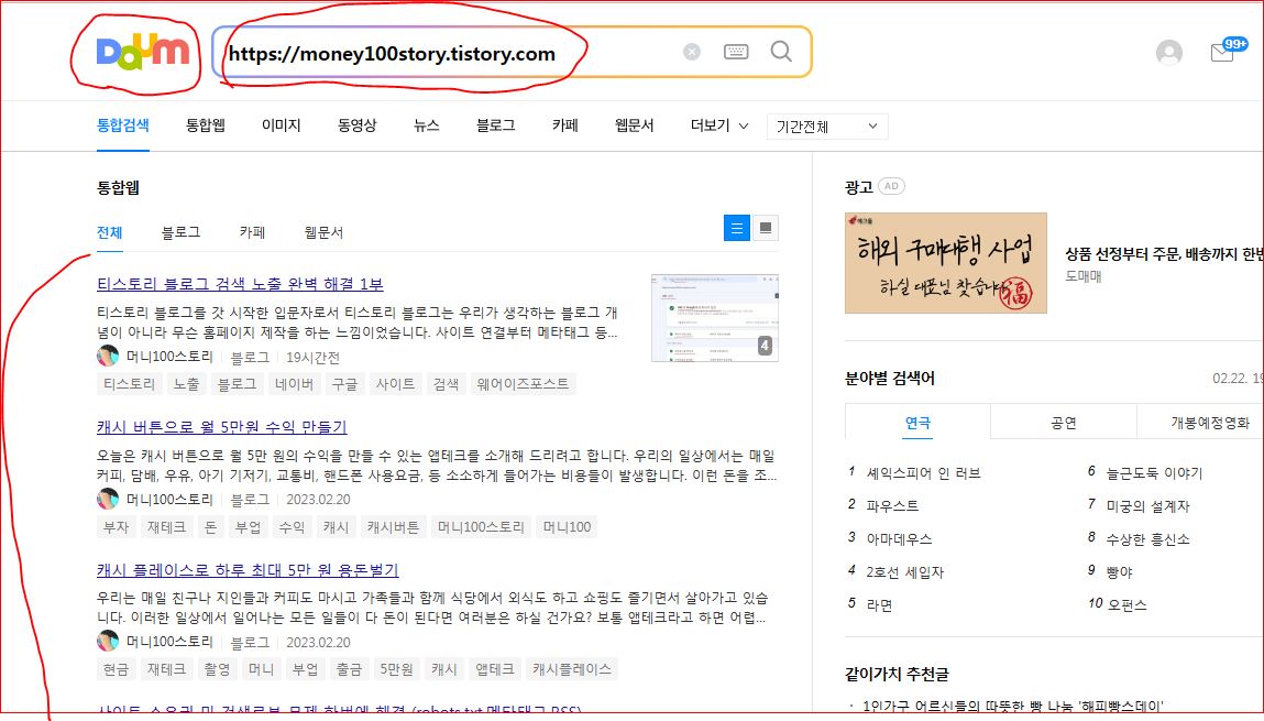 다음 포털에서 제 블로그 검색 노출 성공화면