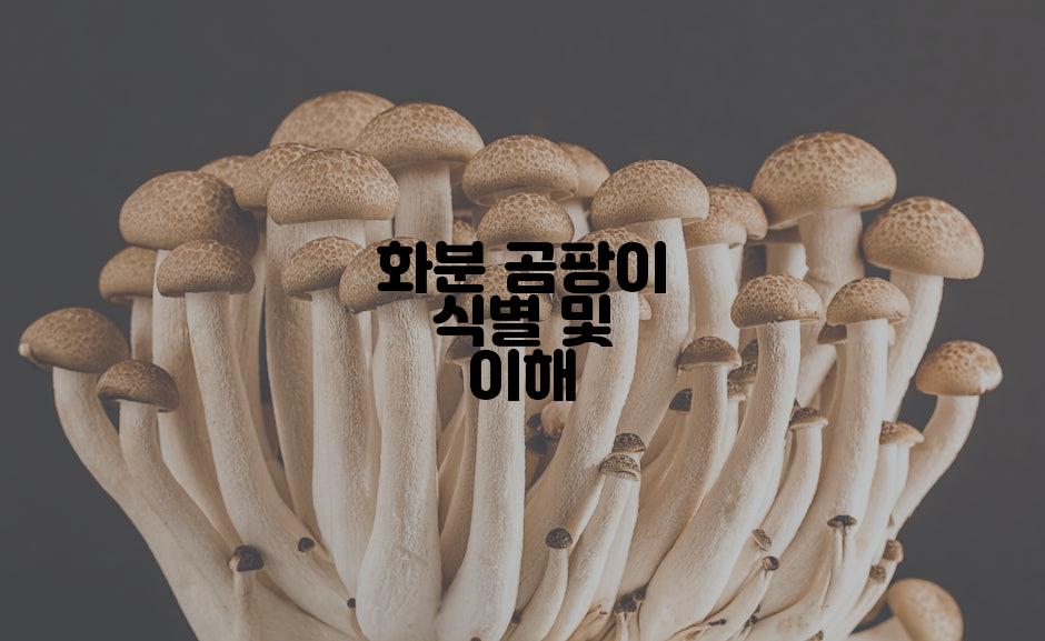 화분 곰팡이 식별 및 이해