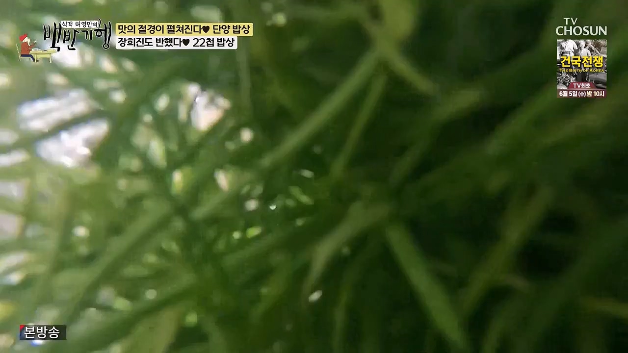 식객 허영만의 백반기행.E250.240603p-NEXT.mp4_20240603_195519.630.jpg