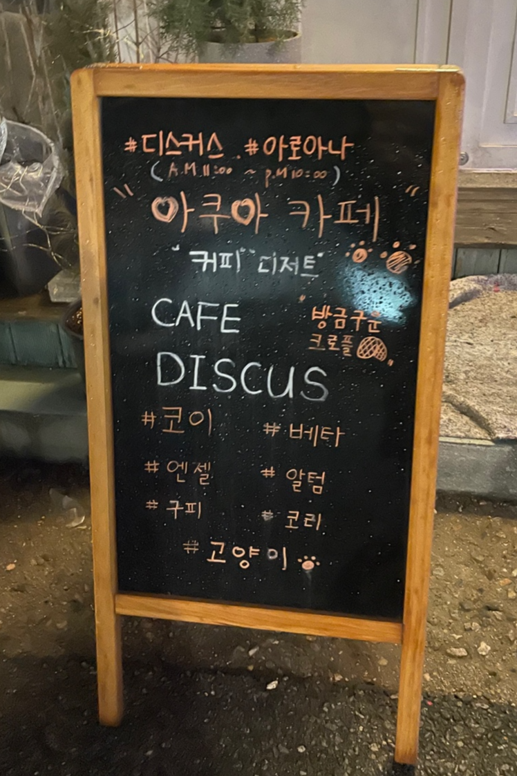 물고기와 고양이가 있는 카페