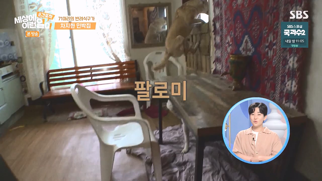 순간포착 세상에 이런일이.E1244.230903p-NEXT.mp4_20230903_173248.902.jpg