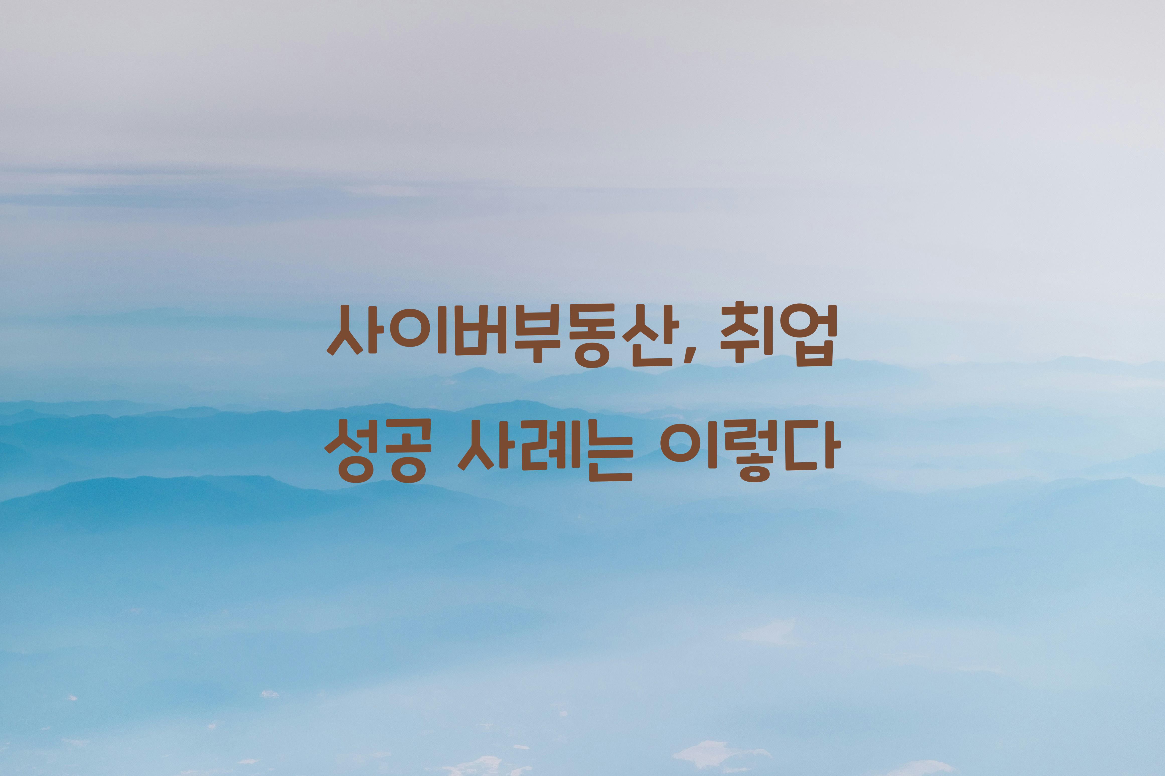 사이버부동산