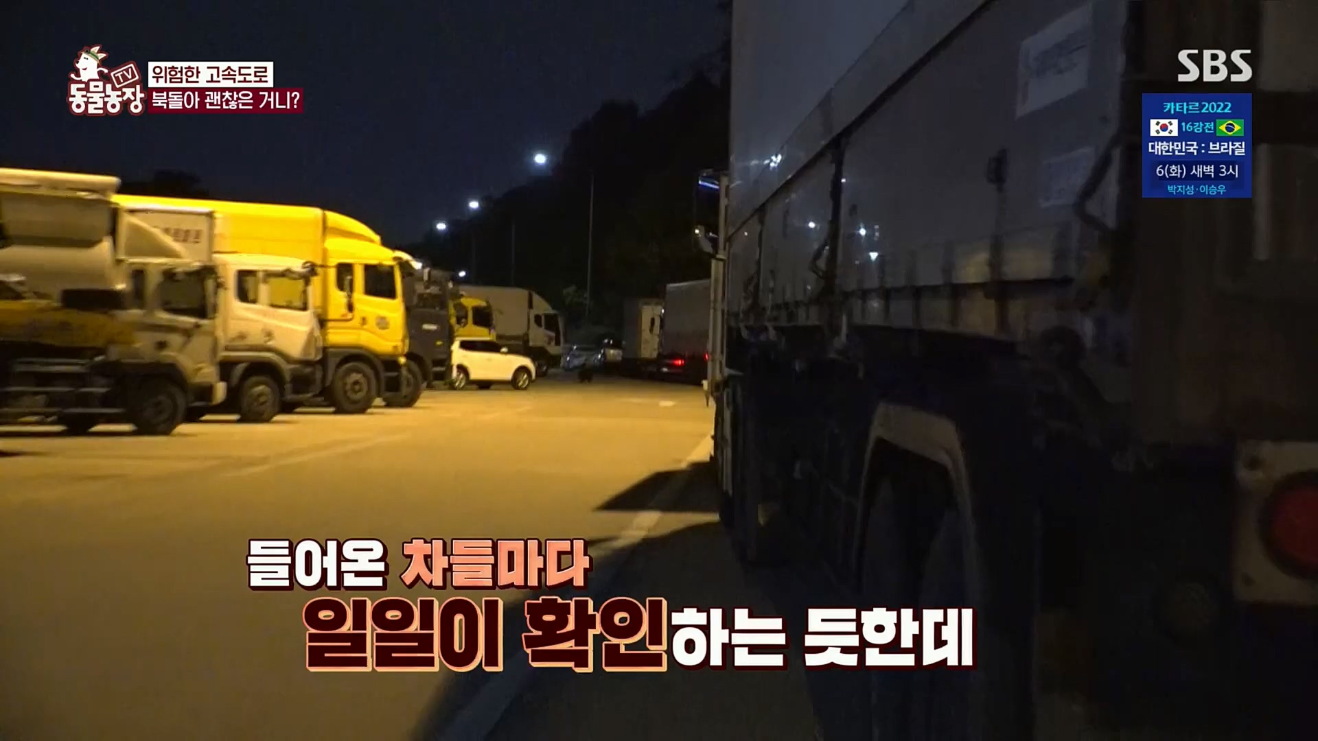 TV 동물농장.E1098.221204p.H264-F1RST.mp4_20221204_175418.835.jpg