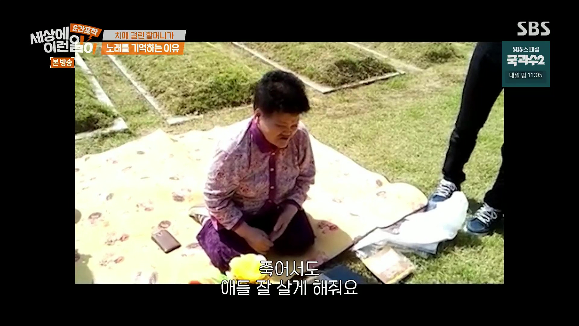 순간포착 세상에 이런일이.E1245.230909p.H264-F1RST.mp4_20230910_170919.685.jpg