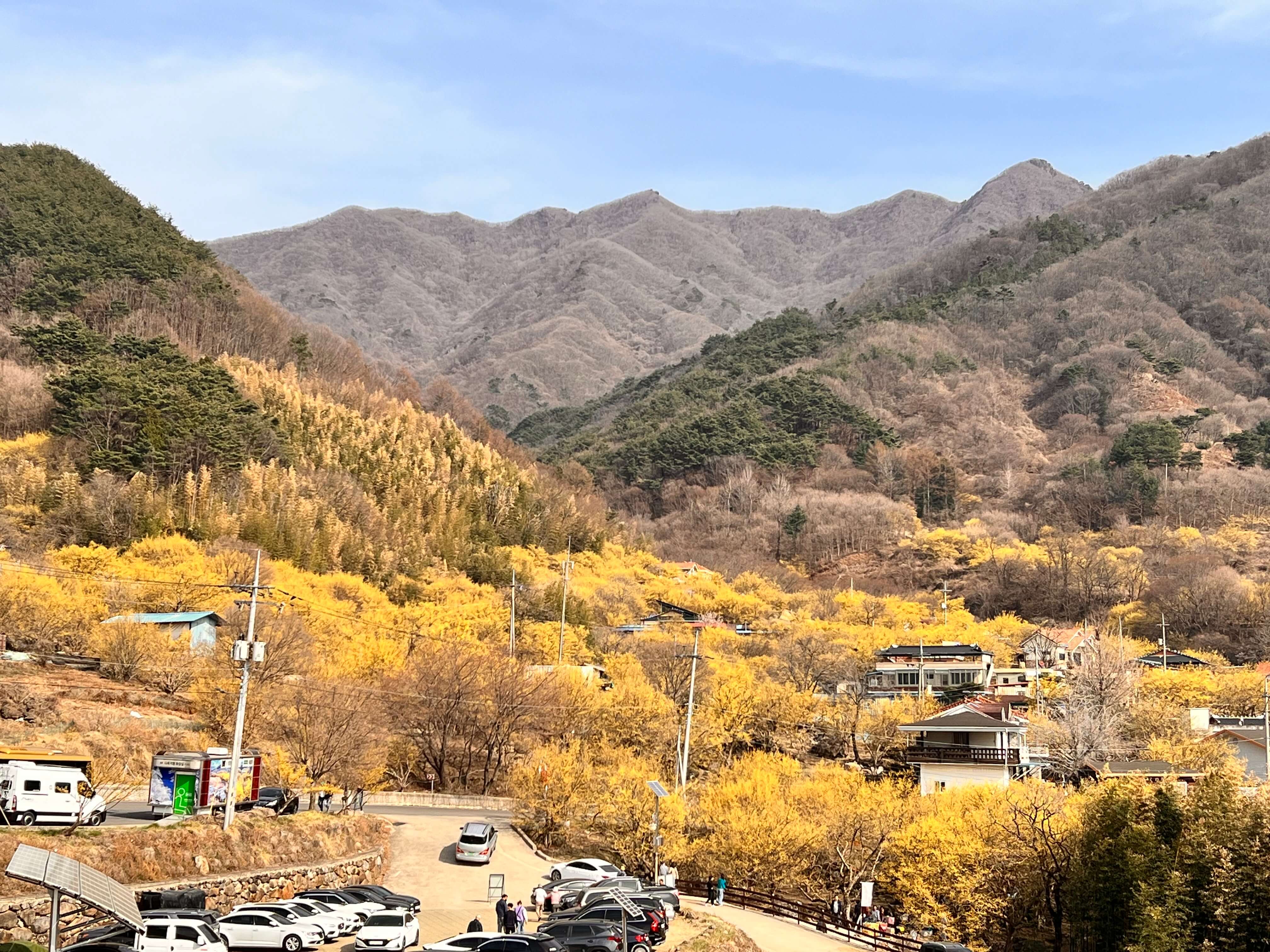 구례 산수유마을