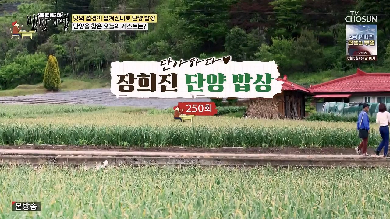 식객 허영만의 백반기행.E250.240603p-NEXT.mp4_20240603_195511.423.jpg