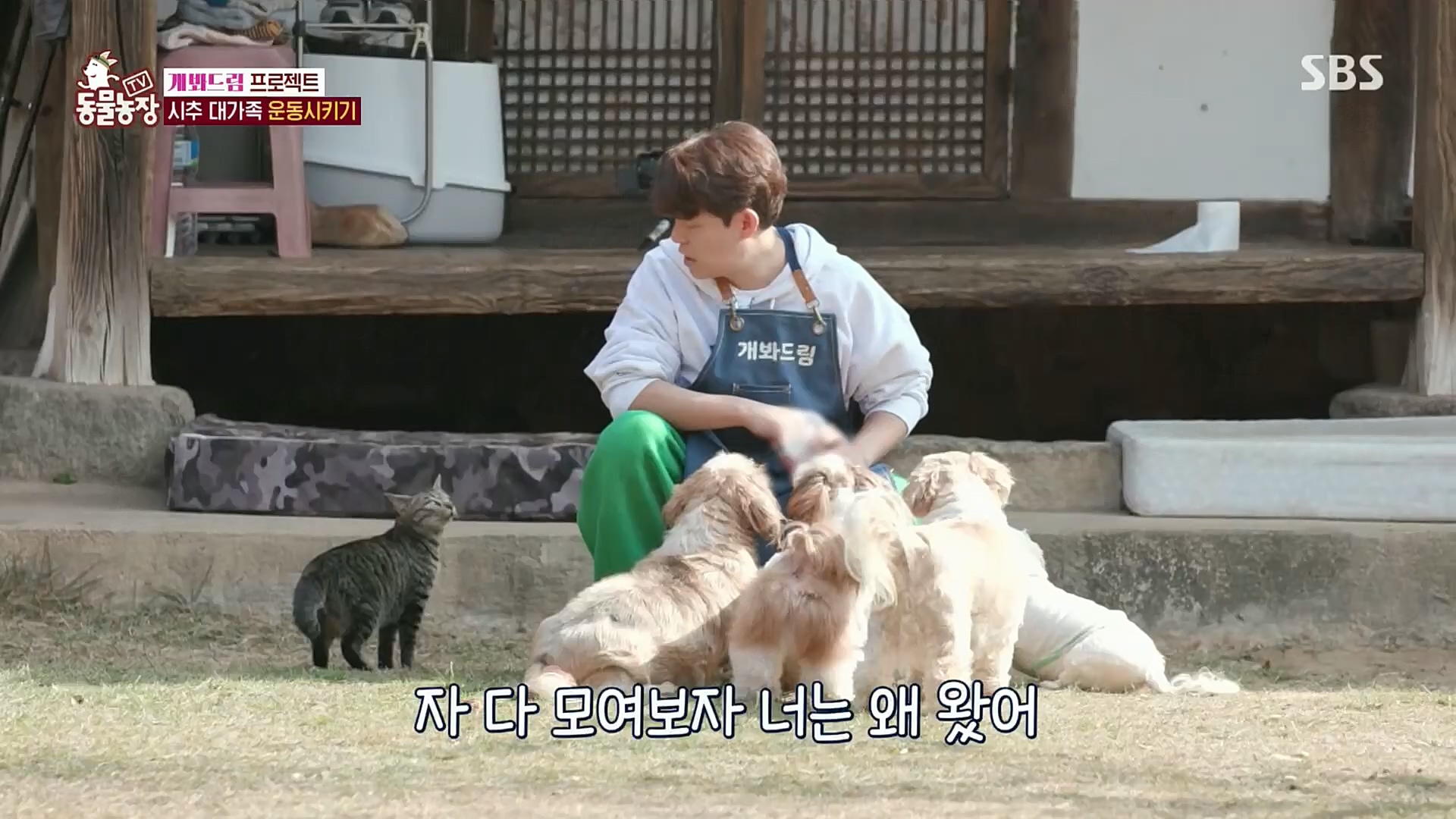 TV 동물농장.E1102.230101p.H264-F1RST.mp4_20230101_182850.460.jpg