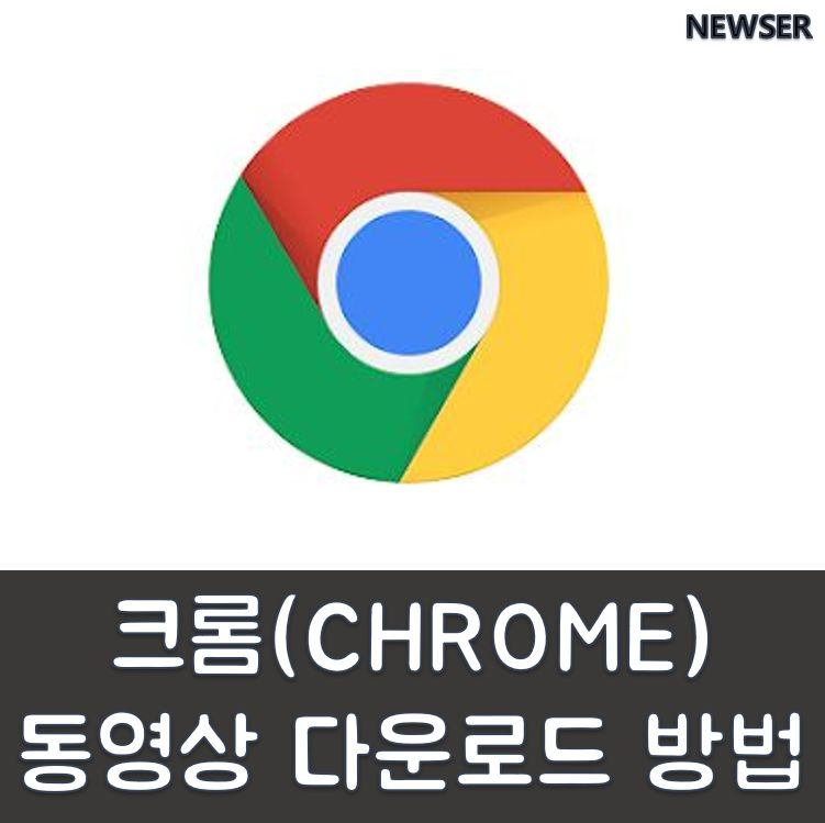 크롬(Chrome) 동영상 다운로드 방법(확장프로그램, F12) - Newser