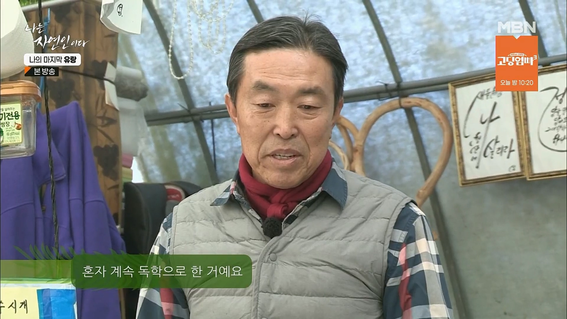 나는 자연인이다.E541.230215p.H264-F1RST.mp4_20230216_192652.511.jpg