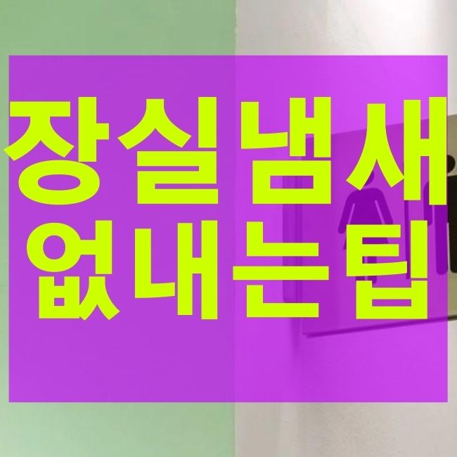  화장실 냄새 없애는법 알아보자